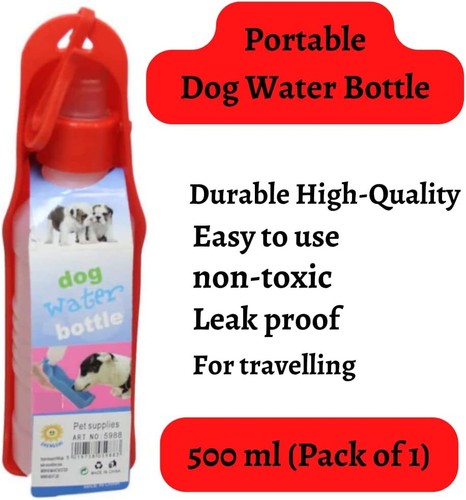 Cat dog pet - dog,