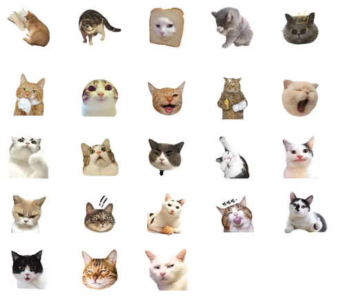 500ml portable dog cat - cat, pet