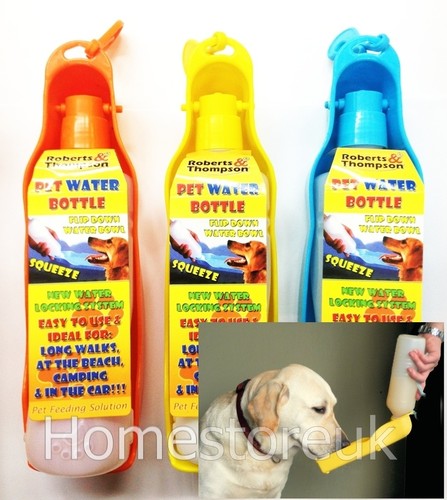 Pet dog puppy - cat, animal