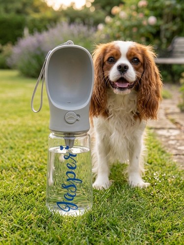 Custom portable dog water bowl - portable,