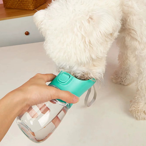 550ml pet dog cat - cat, water