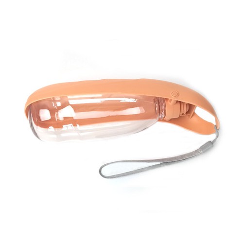 Cat dog pet water - pet,