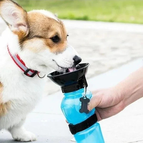 500ml portable dog - dog, pet