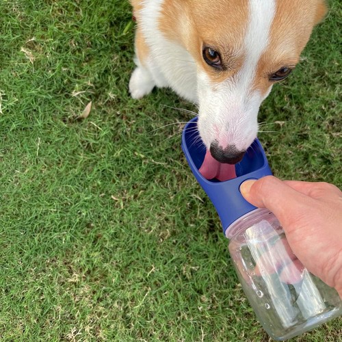 Wepet portable dog water - wepet,